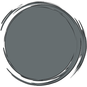 couleur seabob platin silver