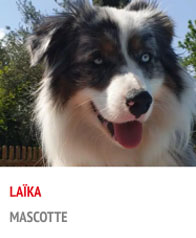 mascotte e-surfshop.com Laika